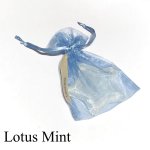 画像1: オーナメント　Lotus Mint　ロータスミント (1)