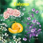 画像1: アロマキャンドル　Calypso　カリプソ (1)