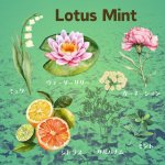 画像1: アロマキャンドル　Lotus Mint　ロータスミント (1)